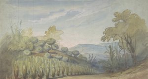 巴黎歌剧院的舞台布景设计，1830-90。 作者 尤金·西塞里