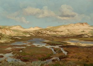 E.Dücker，欧石南丛生