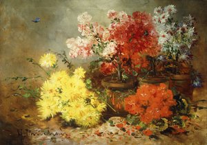 雏菊，海棠和其他盆栽花卉，