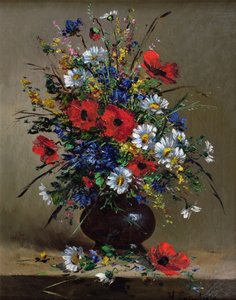 罂粟花和雏菊