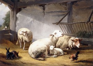 羊，兔和鸡在谷仓里，1859年