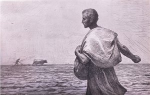 播种者，Bibbys Annual，1916-1917 作者 伯恩之后的尤金