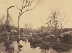 Belle Croix，约1858年。