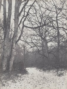 路在森林中，1860-1863年。
