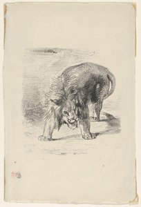 狮子站，1833.，1833.。 作者 尤金·德拉克洛瓦
