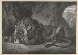 阿特拉斯山脉的狮子，1829-30。，1829-30。 作者 尤金·德拉克洛瓦