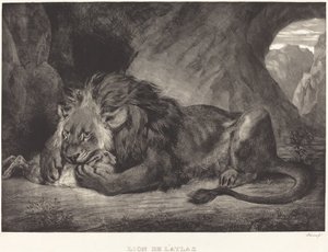 阿特拉斯山脉的狮子 Lion de l