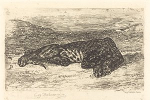 睡在沙漠里的老虎 Tigre couché dans le désert, 1846. 作者 尤金·德拉克洛瓦