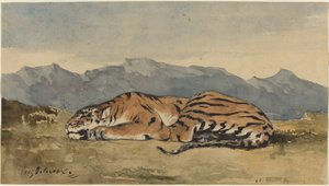 虎，约1830年。 作者 尤金·德拉克洛瓦