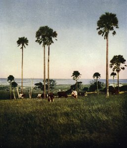 Australia, Illawarra (photo) 作者 欧洲摄影师