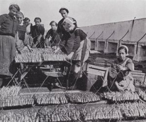 Drying sardine (b/w photo) 作者 欧洲摄影师