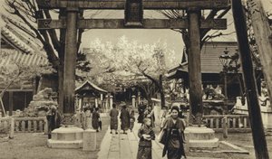 日本，东京街头，樱花盛开时节（黑白照片）。 作者 欧洲摄影师
