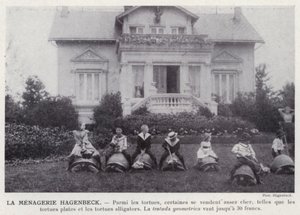 La Menagerie Hagenbeck (b/w photo) 作者 欧洲摄影师