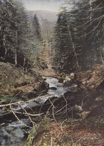 Luchon，黑桃的高谷 作者 欧洲摄影师