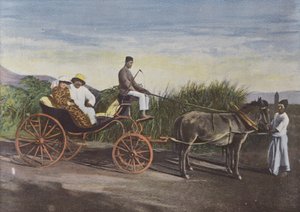 冒号车 作者 欧洲摄影师