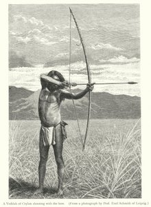 A Veddah of Ceylon shooting with the bow (engraving) 作者 欧洲学校
