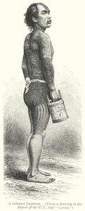 A tattooed Japanese (engraving) 作者 欧洲学校