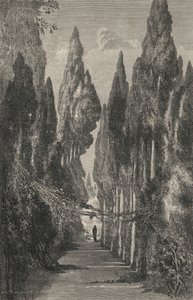 Allee Du Generalife (雕刻) 作者 欧洲学校