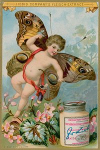 与桃红色花的蝴蝶天使 作者 欧洲学校