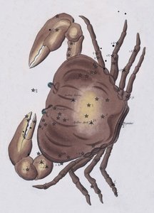 癌症（彩色平版印刷 作者 欧洲学校