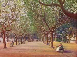 戛纳，Les Allees（彩色印刷版） 作者 欧洲学校