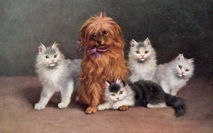 猫明信片（彩色平版） 作者 欧洲学校