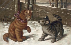 猫明信片（彩色平版） 作者 欧洲学校