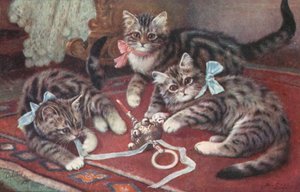 猫明信片（彩色平版） 作者 欧洲学校
