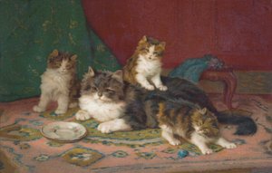 猫明信片（彩色平版） 作者 欧洲学校