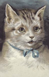 蓝领猫（chromolitho） 作者 欧洲学校