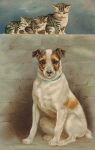 猫观察狗（彩色石版画） 作者 欧洲学校