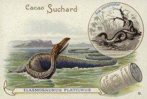 Elasmosaurus和蟒蛇 作者 欧洲学校