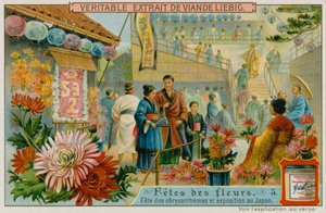 日本菊花节 作者 欧洲学校