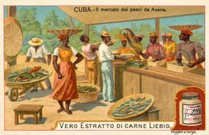 Fish market of Havana, Cuba (chromolitho) 作者 欧洲学校