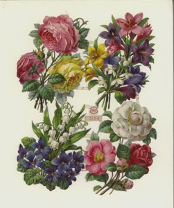花朵（染色） 作者 欧洲学校