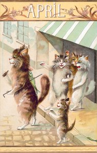 幽默猫明信片（彩色石版印刷） 作者 欧洲学校