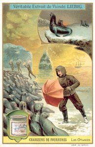 猎杀海狮(chromolitho) 作者 欧洲学校