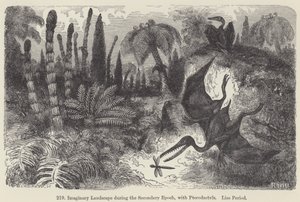 Imaginary Landscape during the Secondary Epoch, with Pterodactyls, Lias Period (engraving) 作者 欧洲学校