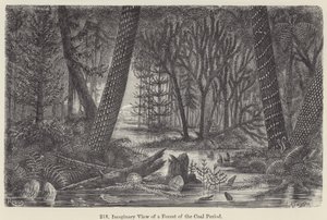 Imaginary View of a Forest of the Coal Period (engraving) 作者 欧洲学校