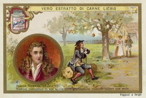 Isaac Newton，英国物理学家和数学家 作者 欧洲学校