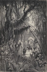 阿根廷西北部萨尔塔山脉的丛林（石版画） 作者 欧洲学校