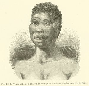 Hottentot Venus，来自巴黎自然历史博物馆的铸件（雕刻） 作者 欧洲学校