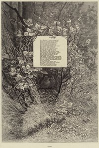 交配（雕刻 作者 欧洲学校