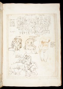 Ms 701 fl.34v, Drawing including a view of the Spinario from the back, late 15th century (pen & ink on paper) 作者 欧洲学校