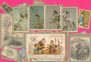Sammelsurium 第九卷页面（印刷品） 作者 欧洲学校
