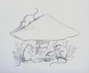 收藏个人徽章和徽章图案（雕刻）的书页 作者 欧洲学校