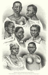 Patterns of Scar-tattooing found among Negroes (engraving) 作者 欧洲学校