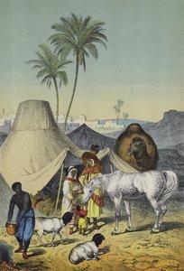 北非和阿拉伯的人民、动物和植物（彩色平版印刷）。 作者 欧洲学校