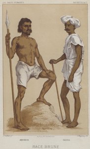 种族布朗、阿比西尼亚、印度（chromolitho） 作者 欧洲学校