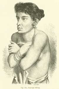 Sauvage stieng (engraving) 作者 欧洲学校